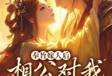 林思棠北辰砚完整版小说免费阅读-书格格