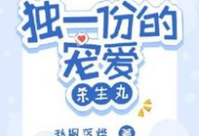 烛衍小说独一份的宠爱【杀生丸】在线阅读章节-书格格