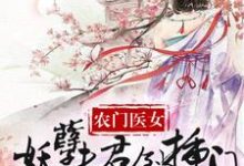 完整版的农家医女：妖孽夫君倒插门小说在哪里可以免费读到？-书格格