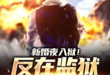 新婚夜入狱!反在监狱成大佬免费阅读,新婚夜入狱!反在监狱成大佬章节在线阅读-书格格