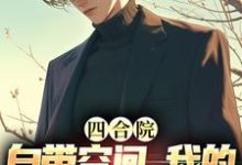 《四合院:自带空间,我的人生开挂了》小说何雨柱章节章节免费在线阅读-书格格