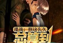 寻找能够免费阅读谍战:熬这么久,总算到美人计了小说的平台-书格格