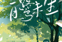 完整版小说《我为她入狱,她却即将去世》免费阅读-书格格
