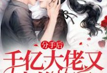 姜黛霍时宴完整版小说《分手后,千亿渣男爆改舔狗求复合》免费阅读-书格格