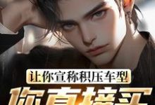 小说《让你宣称积压车型,你直接买脱销?》完整版章节免费阅读-书格格