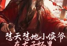 怼天怼地小侯爷在太子怀里装柔弱免费阅读，怼天怼地小侯爷在太子怀里装柔弱章节目录-书格格