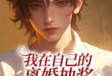 已完结小说《我在自己的离婚抽奖下面转发求中》在线章节阅读-书格格