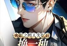 《火影之鸣人失忆后换一种方式相爱》鸣人完整版小说免费阅读-书格格