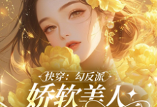 小说《沉浸式快穿：反派男主的洗白之旅》完整版在线章节免费阅读-书格格