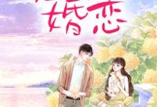 恶俗婚恋小说的免费电子版在哪里可以下载或阅读?-书格格
