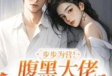 完结版《步步为营!腹黑大佬撩宠野玫瑰》在线免费阅读-书格格