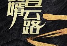 赘婿青云路小说的无弹窗阅读体验,寻找免费阅读网站-书格格