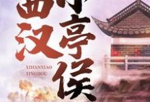 《西汉小亭侯》全集免费在线阅读(赵启明解忧静安公主)-书格格