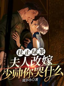 扶正绿茶？夫人改嫁少帅你哭什么傅安安小说免费阅读