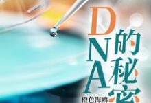 DNA的秘密免费阅读，DNA的秘密章节目录-书格格