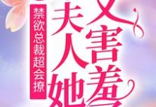 禁欲总裁超会撩,小夫人她又害羞了小说的所有章节都能在哪里免费读到?-书格格