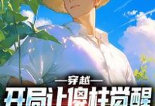 张峰傻柱完整版小说《穿越:开局让傻柱觉醒,不做舔狗》免费阅读-书格格