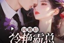 闪婚后,冷艳霸总宠妻无度耿迟渊秦慕瑶,闪婚后,冷艳霸总宠妻无度章节在线阅读-书格格