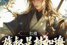 红楼:族叔是林如海,在线当大佬林民意林黛玉,红楼:族叔是林如海,在线当大佬完整版最新章节-书格格