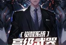 觉醒系统:高级武器就是买买买小说的免费阅读版本在哪里可以找到?-书格格
