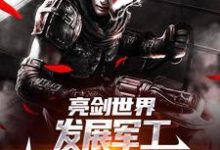 完结版《亮剑世界:发展军工我帮李云龙高升》免费阅读-书格格