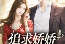 免费看追求娇娇只需一颗糖小说的网站有哪些？-书格格