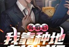 已完结小说《离婚后，我靠种地身价过亿》在线章节阅读-书格格