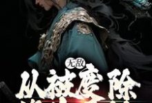 无敌,从被废除修为开始小说有没有完结版在线?-书格格