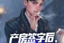 产房签字后,觉醒奶爸系统!这本小说怎么样?免费在线阅读试试-书格格