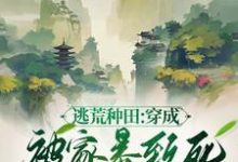 《逃荒种田：穿成被家暴致死的农妇》李昭李盼儿完整版小说免费阅读-书格格
