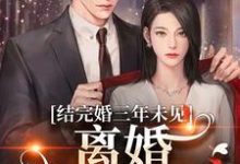 结完婚三年未见，离婚他急红眼小说阅读，结完婚三年未见，离婚他急红眼完结版-书格格