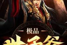 极品世子爷免费阅读,极品世子爷苏哲-书格格