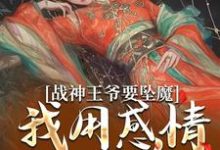《战神王爷要坠魔,我用感情拯救他》小说苏婉清陆少卿章节章节免费在线阅读-书格格