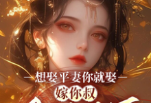 小说《想娶平妻你就娶，嫁你叔凤临天下》完整版章节免费阅读-书格格