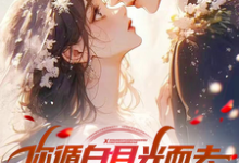 已完结小说《你循白月光而去，现在说后悔？》在线章节阅读-书格格