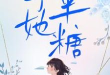 朝暮岁聿小说予她半糖章节免费阅读-书格格