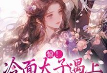 在线免费阅读惊!冷面太子遇上刁蛮女杀手完整小说-书格格