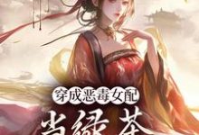 免费看穿成恶毒女配，当绿茶这么有趣？小说的网站有哪些？-书格格