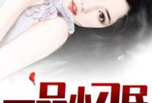 求一品小刁民小说的全文免费阅读链接-书格格