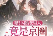 寻找糟!闪婚老男人竟是京圈太子爷小说的最新更新章节-书格格