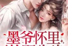 明夏墨晏琛小说叫什么（墨爷怀里的野玫瑰完整版免费阅读）-书格格