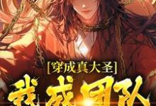 完结版《穿成真大圣，我成团队香饽饽》章节目录在线阅读-书格格