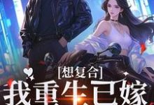 想复合？我重生已嫁超级豪门贺惜汶魏君庭小说免费阅读-书格格