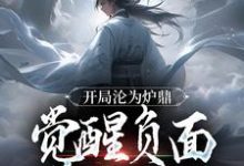 叶不凡完整版《开局沦为炉鼎，觉醒负面逆转系统》小说免费阅读-书格格