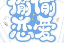 云苏黎雾小说偷偷恋爱章节免费阅读-书格格