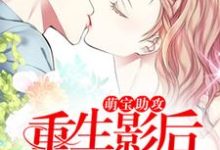 洛岚小说萌宝助攻：重生影后她超甜完整版阅读-书格格