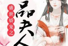 盛世娇宠之一品夫人小说免费资源，盛世娇宠之一品夫人在线阅读-书格格
