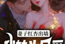 石昊水婉婷小说《妻子红杏出墙,我转头另爱》完整版免费阅读-书格格