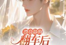 完结版《漂亮舔狗翻车后逃不掉了》章节阅读-书格格