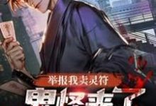 举报我卖灵符，鬼怪来了你哭什么？吴邪小说大结局免费试读-书格格